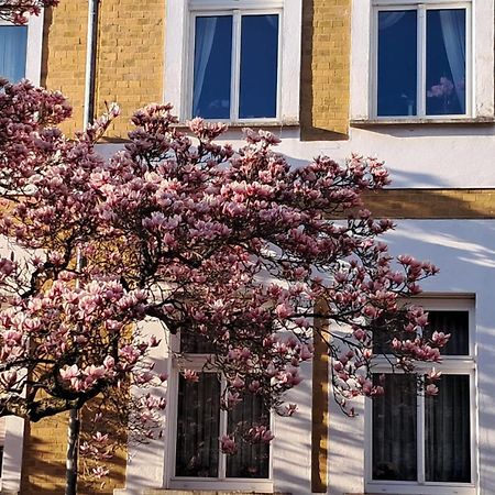 Ferienwohnung Rosi Naumburg  Esterno foto
