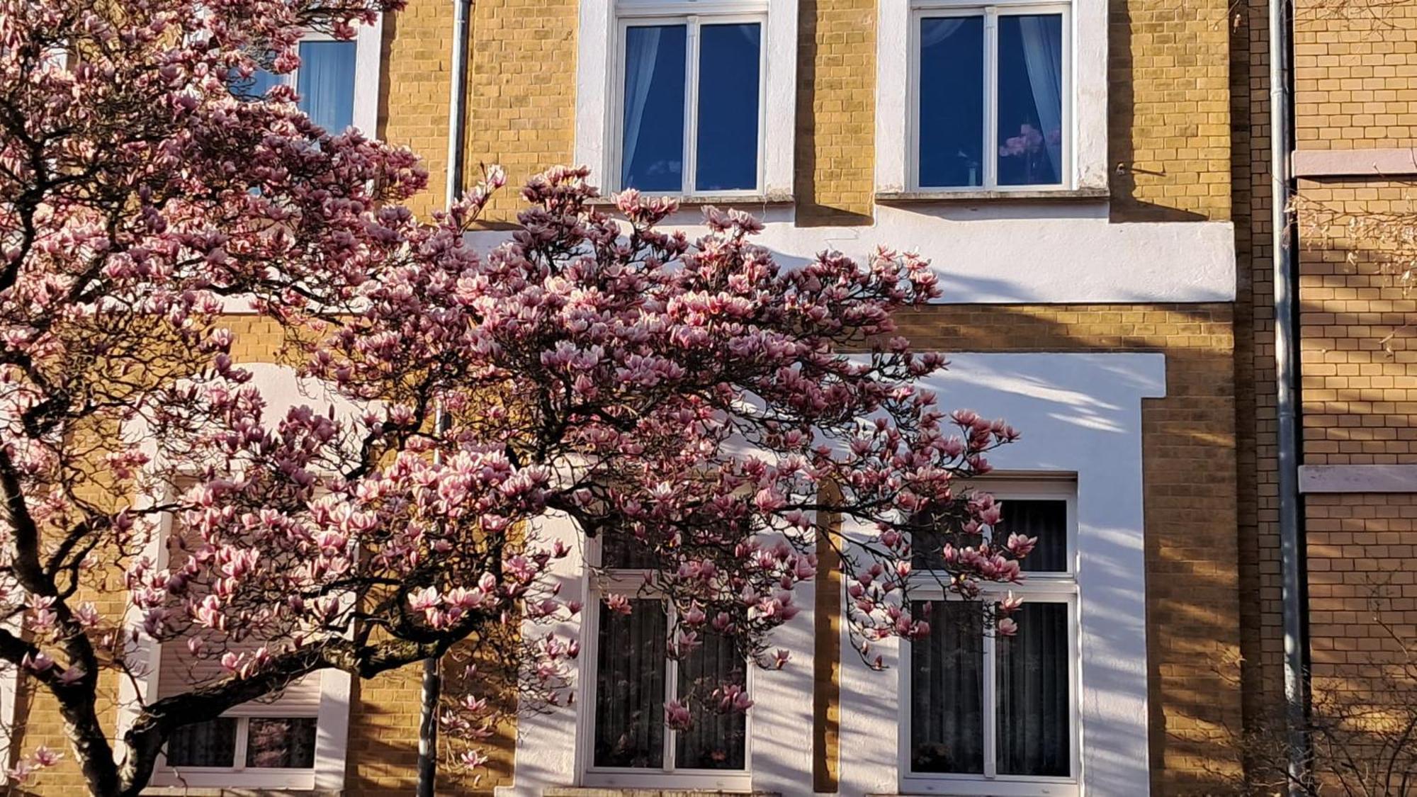 Ferienwohnung Rosi Naumburg  Esterno foto